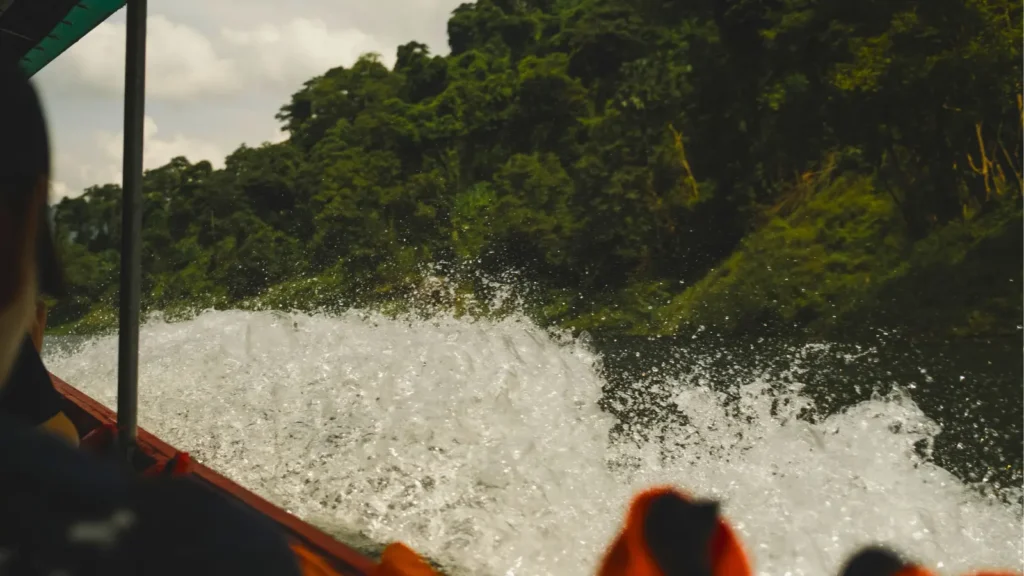 Boat tour on Gatun Lake during the Monkey Safari Panama wildlife experience.