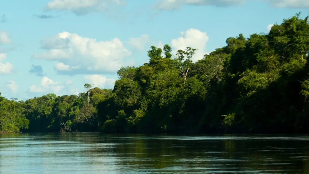Scenic view of Gatun Lake during the Monkey Safari Panama boat tour.